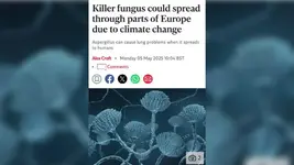 Смертельный грибок Aspergillus может уничтожить Европу и добраться до России.webp