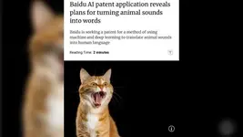 Кошачий язык скоро можно будет перевести на человеческий..webp