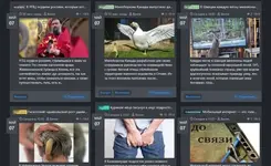 Как стать автором портала новостей..webp