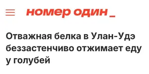 В мире животных.webp