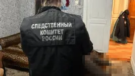 В Нижегородской области подросток убил мачеху во время ссоры_ она ударила дерзкого юношу за мат.webp
