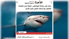 В Египте из-за увеличения числа туристов и появления акул выпустили срочное предупреждение.webp