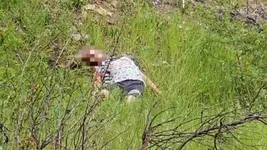 14-летняя фанатка Битцевского маньяка жестоко забила 7-летнюю девочку молотком в Бердянске.webp