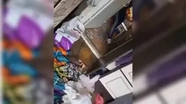 В Пскове псевдоволонтёр устроила кошачий ад в собственной квартире.webp