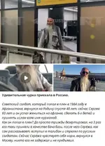 Предатели.webp